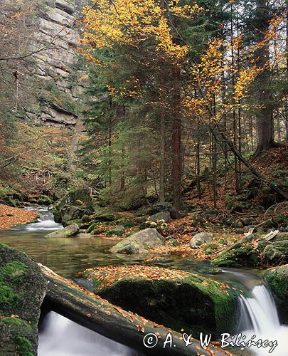 Karkonoski Park Narodowy, potok Szklarka