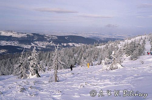 na Hali Szrenickiej Karkonoski Park Narodowy