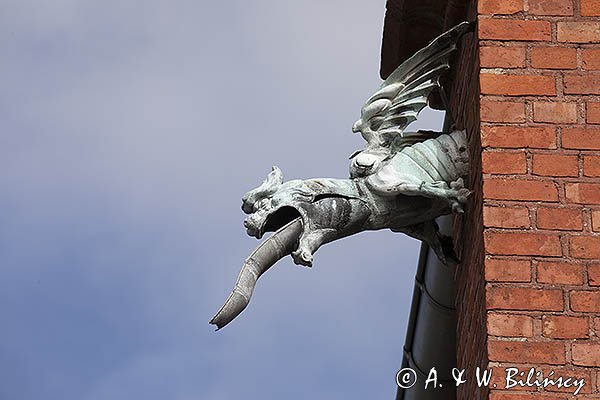 Kartuzy, rzygacz na kościele p.w. św. Kazimierza