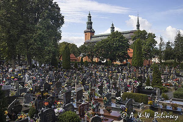 Kartuzy, Kolegiata Kartuzka pw. Wniebowzięcia Najświętszej Maryi Panny i cmentarz przyklasztorny