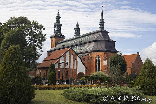 Kartuzy, Kolegiata Kartuzka pw. Wniebowzięcia Najświętszej Maryi Panny