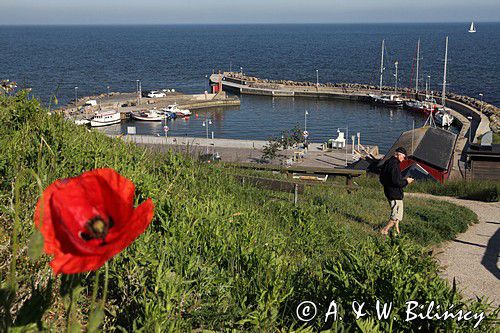 Kaseberga, port, Szwecja Południowa, Skania, Bałtyk