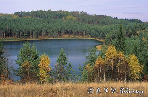 jezioro Płoczyca koło Rekowa, Kaszuby