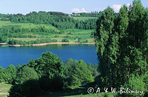 jezioro Brodno Wielkie, widok ze Złotej Góry, Kaszuby