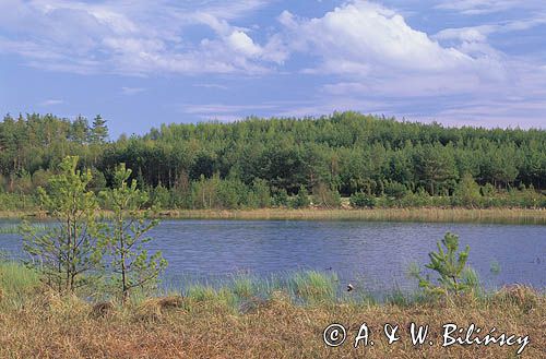 Wdzydzki Park Krajobrazowy