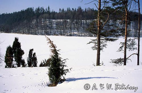 zima na Kaszubach, jezioro Kamieniczno