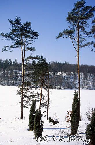 zima na Kaszubach, jezioro Kamieniczno