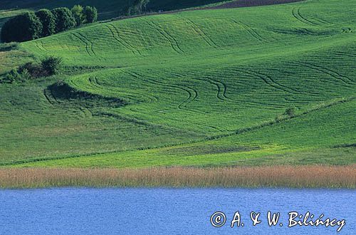 jezioro Brodno Małe, Szwajcaria Kaszubska Kaszubski Park Krajobrazowy