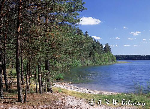 jezioro Piaszno na Kaszubach, Pojezierze Bytowskie