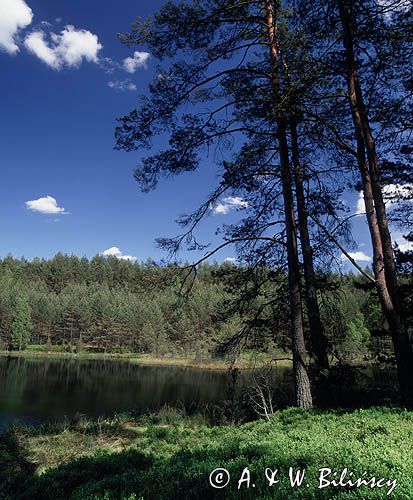 Jeziorko na Kaszubach