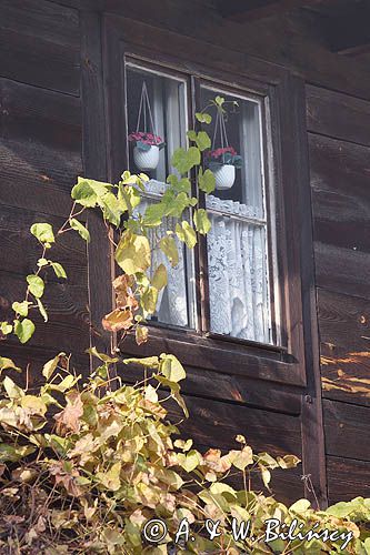 Kazimierz Dolny nad Wisłą, okno