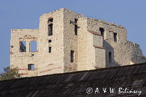 Kazimierz Dolny nad Wisłą, zamek, ruiny