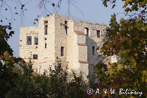 Kazimierz Dolny nad Wisłą, zamek, ruiny