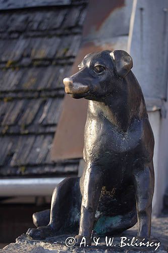Kazimierz Dolny nad Wisłą, figura psa na rynku