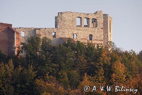 Kazimierz Dolny nad Wisłą, zamek, ruiny