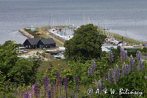 port jachtowy Kignaes, Roskilde Fjord, Zelandia, Dania