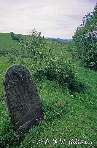 Cmentarz żydowski kirkut lutowiska