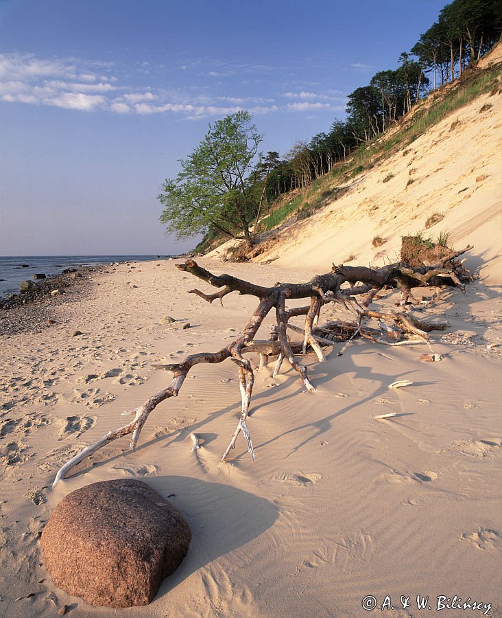 klif na Wyspie Wolin Woliński Park Narodowy