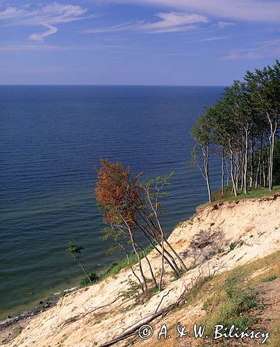 Klif, Wolinski Park Narodowy, Wybrzeże Bałtyku