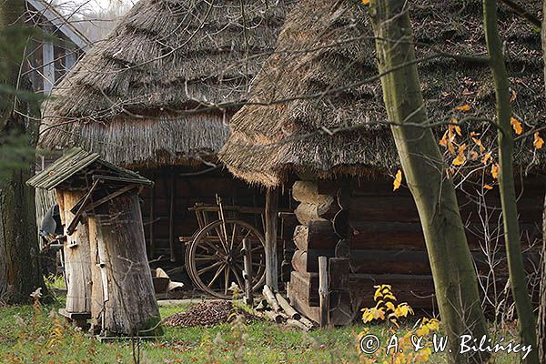 Kolbuszowa, park etnograficzny Muzeum Kultury Ludowej, wóz drabiniasty