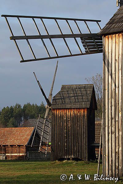 Kolbuszowa, park etnograficzny Muzeum Kultury Ludowej, wiatraki koźlaki