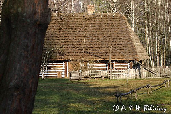 Kolbuszowa, park etnograficzny Muzeum Kultury Ludowej, zagroda z Markowej, Kielarów