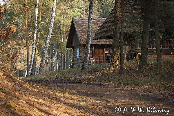 Kolbuszowa, park etnograficzny Muzeum Kultury Ludowej, chata, Zagroda z Brzózy Stadnickiej