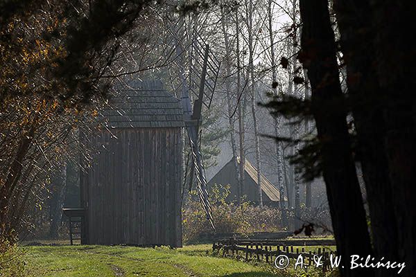 Kolbuszowa, park etnograficzny Muzeum Kultury Ludowej, wiatrak koźlak z Zarębek