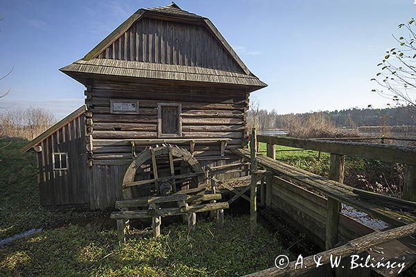 Kolbuszowa, park etnograficzny Muzeum Kultury Ludowej, młyn wodny z żołyni