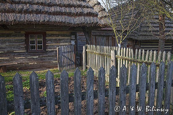 Kolbuszowa, park etnograficzny Muzeum Kultury Ludowej, zagroda z Markowej, Szylarów