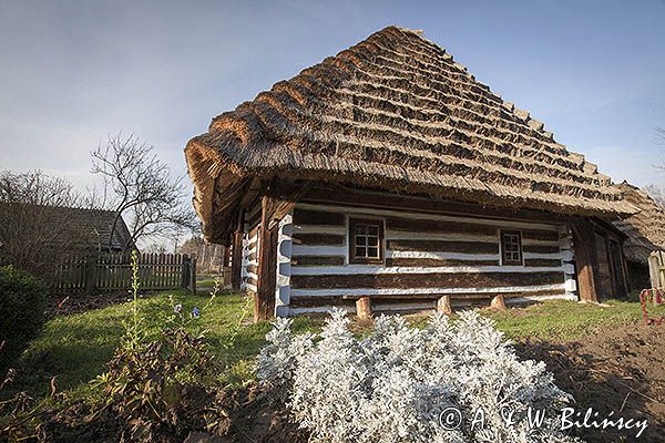 Kolbuszowa, park etnograficzny Muzeum Kultury Ludowej, zagroda z Markowej, Kielarów