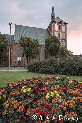 Kołobrzeg, Bazylika konkatedralna Wniebowzięcia Najświętszej Maryi Panny w Kołobrzegu