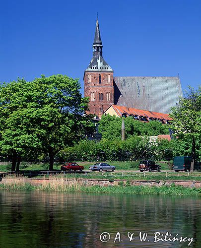 Kołobrzeg, katedra, kolegiata Niepokalanego poczęcia NMP