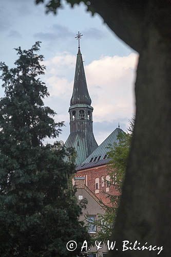 Kołobrzeg, Bazylika konkatedralna Wniebowzięcia Najświętszej Maryi Panny w Kołobrzegu