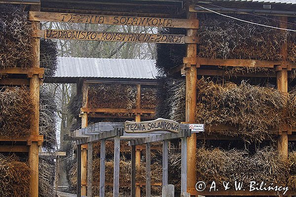 Konstancin Jeziorna, tężnia solankowa, park zdrojowy