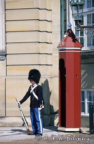 Dania Kopenhaga Amalienborg Wartownik Gwardii Królewskiej