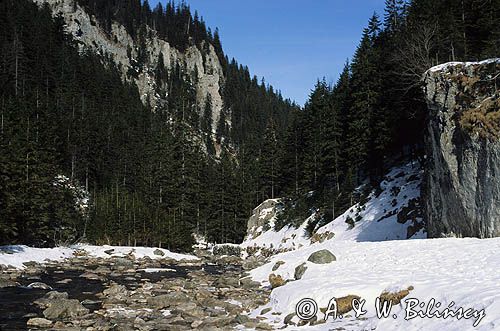 Dolina Kościeliska Tatry