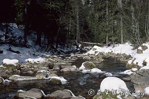 Dolina Kościeliska Tatry