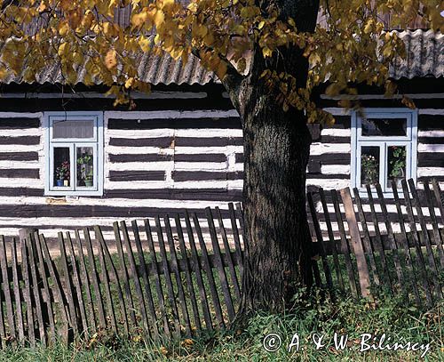 Kotań, chata, Beskid Niski, Polska