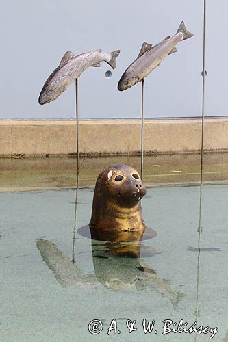 Maretarium w porcie Kotka, Finlandia, Zatoka Fińska