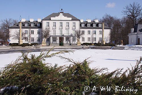 Kozienice, zespół pałacowo-parkowy, pałac