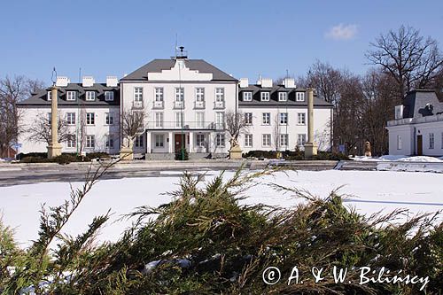 Kozienice, zespół pałacowo-parkowy, pałac