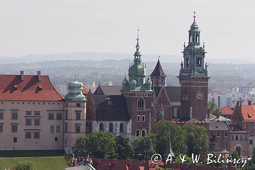 Cracow widok z Wieży Kościoła Mariackiego na Wawel