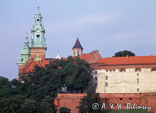 Cracow Wawel zamek, katedra wawelska