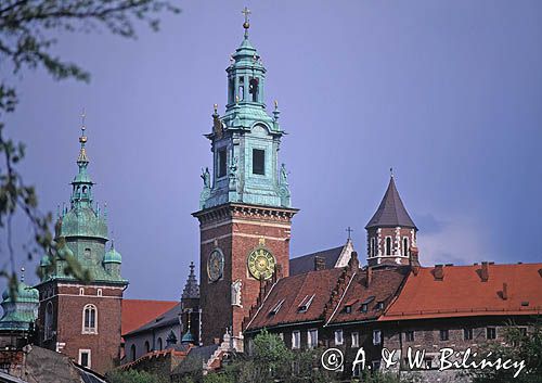 Cracow Wawel zamek, katedra wawelska