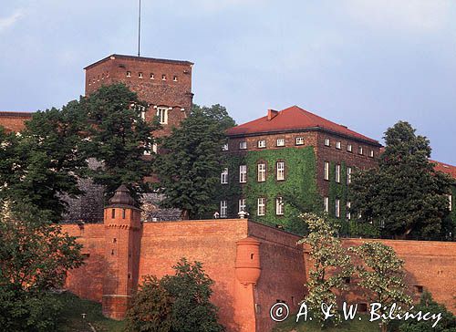 Cracow Wawel zamek