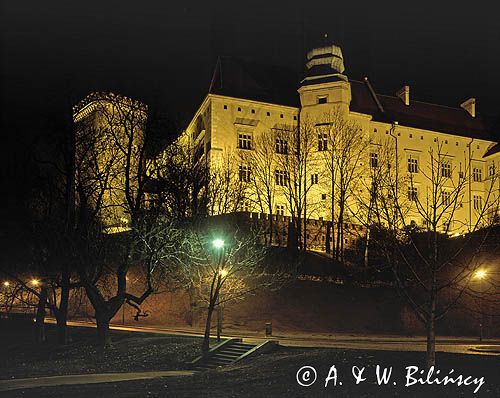 Cracow, zamek na Wawelu nocą