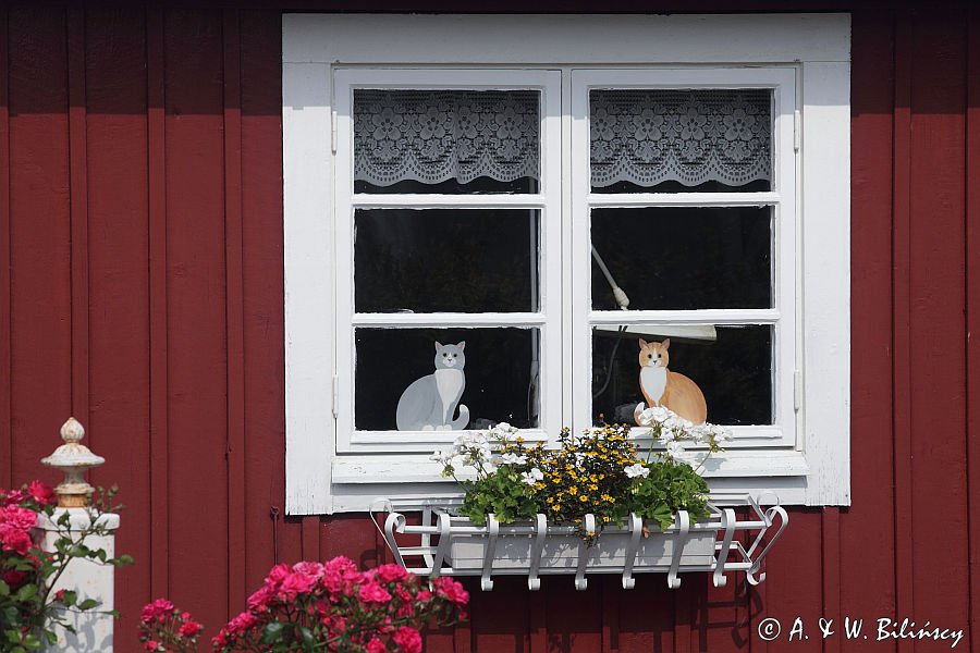 okno w Kristianopel, Blekinge, Szwecja