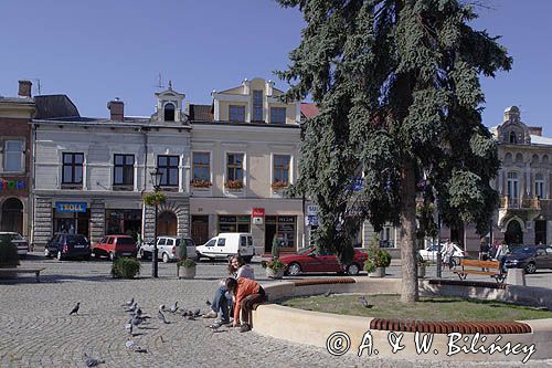 Krosno rynek