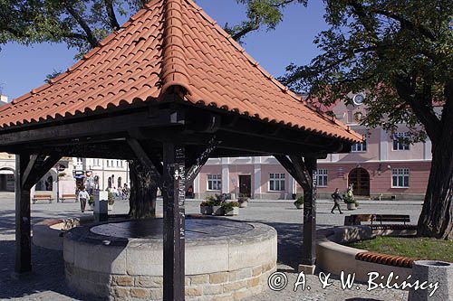 Krosno rynek - studnia na rynku